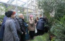 Экскурсия в Ботанический сад