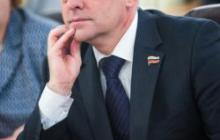 Благодарность депутату