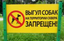 Общественность поддержала запрет на выгул животных в саду «Белое озеро» и сквере «Театральный»