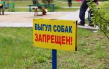 В Томске запретят выгул собак на особо охраняемых природных территориях