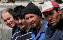 Отношения томичей к мигрантам обсуждали в Думе