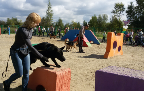 Константин Беляков принял участие в открытии площадки для выгула собак