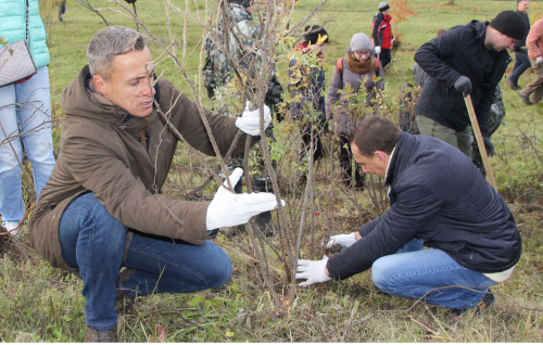 Депутаты городской Думы приняли участие в озеленении склона Лагерного сада