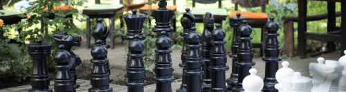 В Томске завершилось Первенство России по шахматам для особенных детей