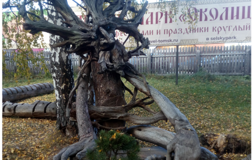 Депутаты городской Думы организовали поездки пенсионеров в сельский парк «Околица»