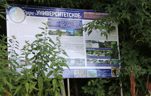 В Томске может появиться еще одно общественное пространство около озера