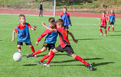 Детские спортивные школы приступили к работе