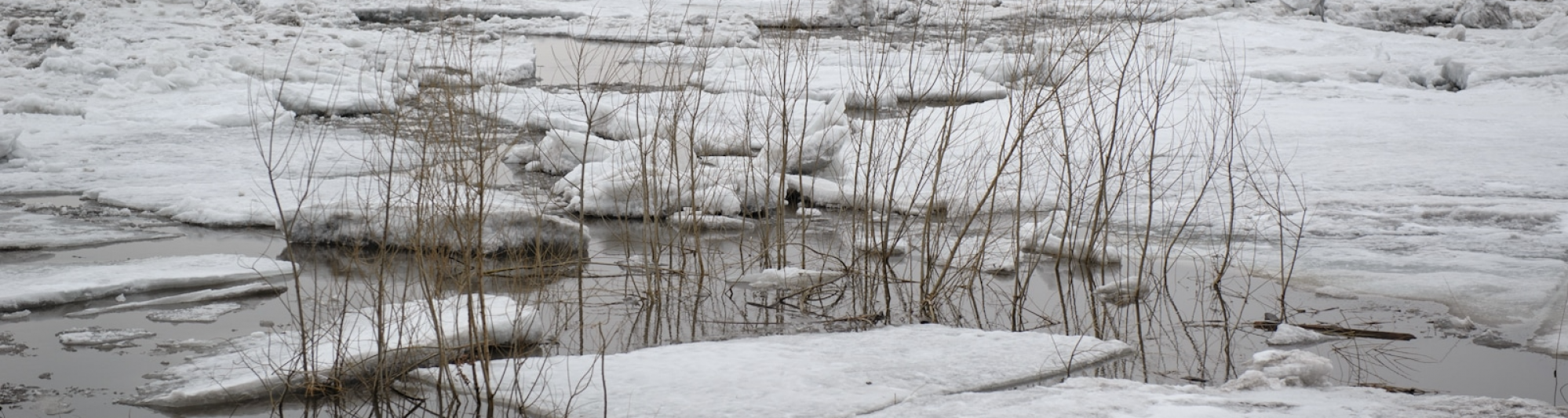 Вскрытие реки Томь ожидается в конце второй декады апреля