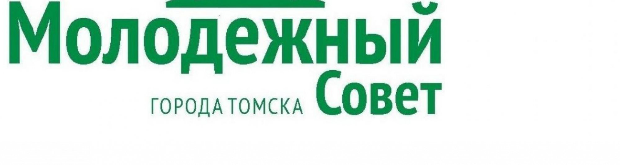 Депутаты сформировали Молодежный Совет Томска