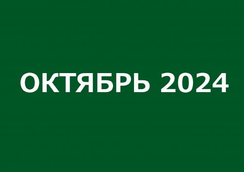 Заседания комитетов октябрь 2024 года