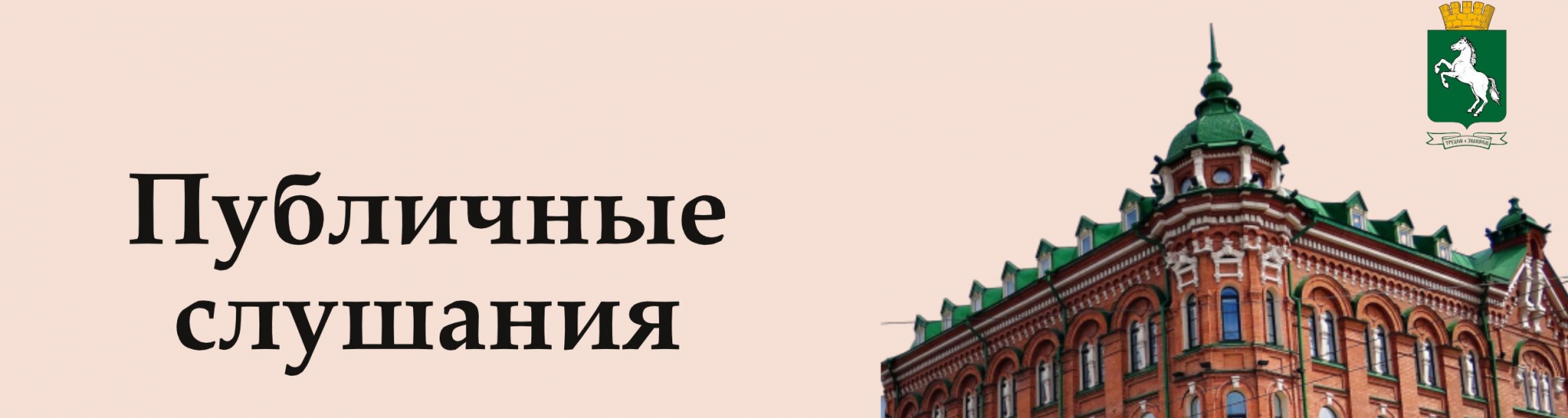 Прямая трансляция публичных слушаний по обсуждению проекта бюджета