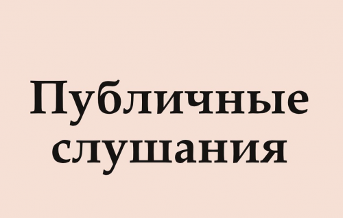 Прямая трансляция публичных слушаний по обсуждению проекта бюджета