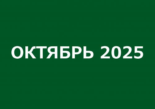 Заседания комитетов октябрь 2025 года