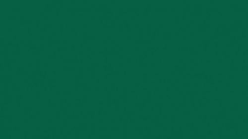 Вареник Лариса Александровна 