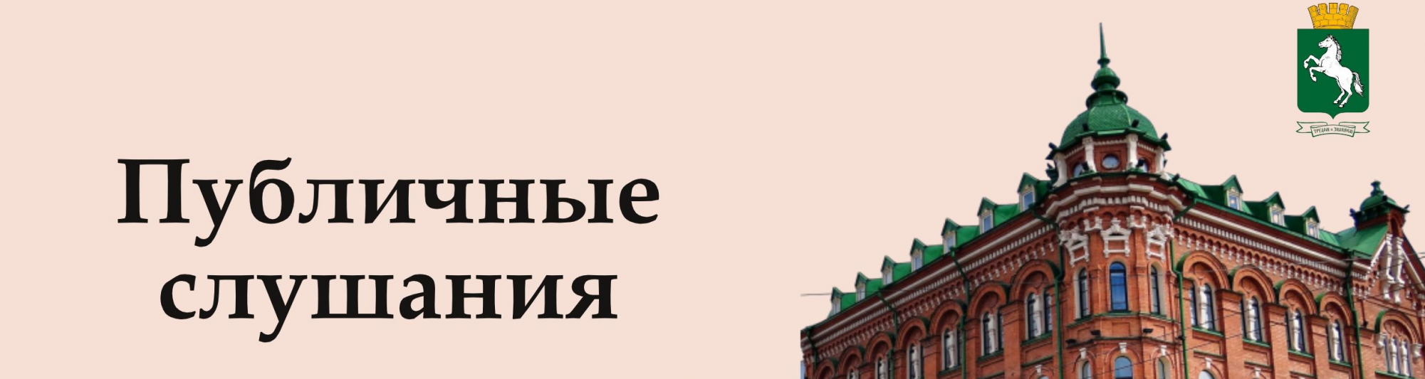 Прямая трансляция публичных слушаний по обсуждению проекта бюджета