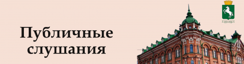 Прямая трансляция публичных слушаний по обсуждению проекта бюджета