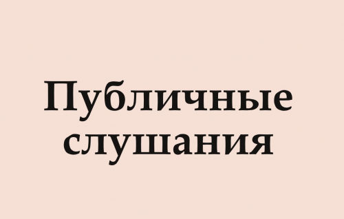 Прямая трансляция публичных слушаний по обсуждению проекта бюджета