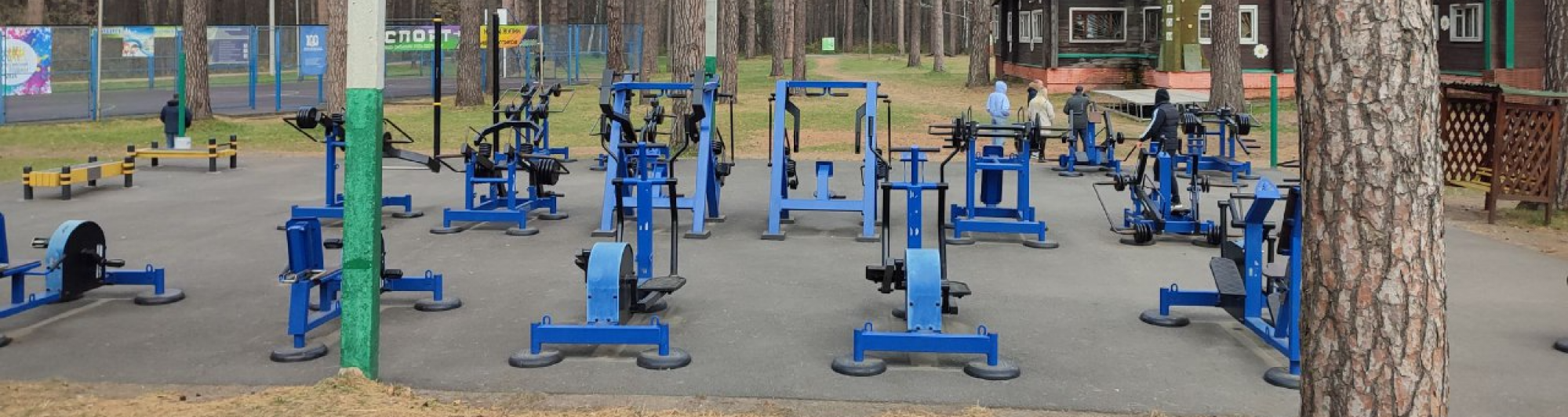 Более 1 млрд рублей направят на развитие спорта в Томске