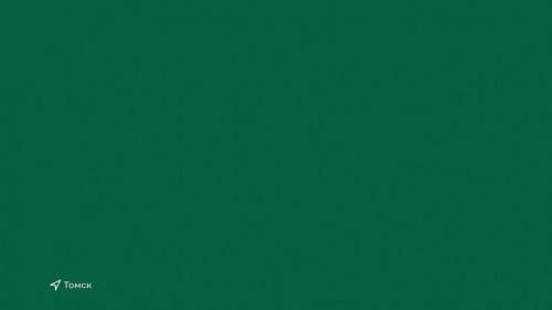 Лузина Лариса Валерьевна