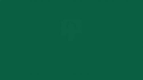 Никульшин Сергей Маевич 