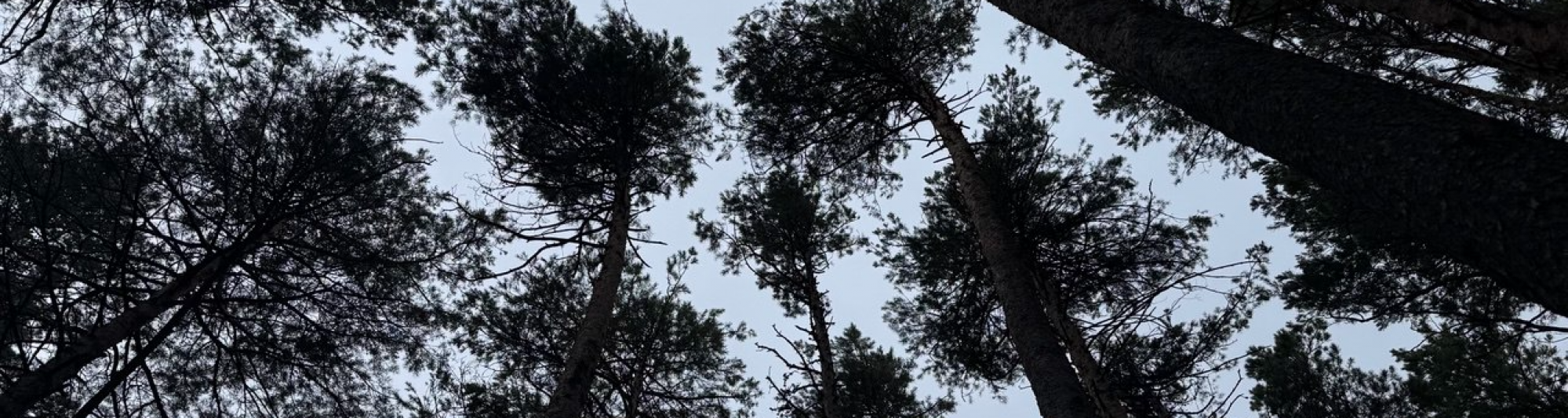 Депутаты обсудили границы и правовой статус особо охраняемых природных территорий 