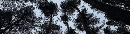 Депутаты обсудили границы и правовой статус особо охраняемых природных территорий 