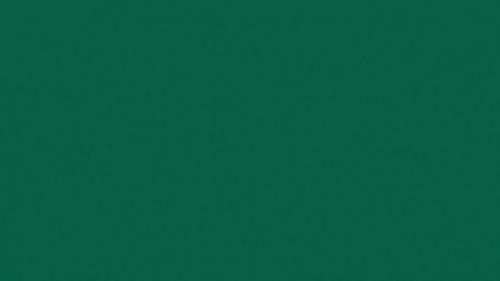 Халитов Шамиль Камильевич 