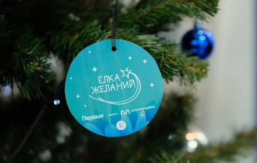 Депутаты Думы Томска приняли участие  в акции «Ёлка желаний»