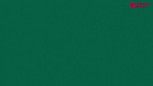 Калинина Светлана Анатольевна