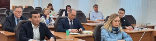 Сегодня в Думе Томска прошли заседания сразу двух комитетов - по развитию территории и городского хозяйства