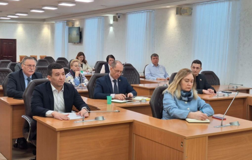 Сегодня в Думе Томска прошли заседания сразу двух комитетов - по развитию территории и городского хозяйства