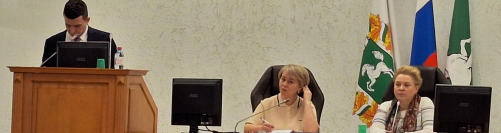 Депутаты предлагают увеличить штрафы за парковку на газонах и детских площадках