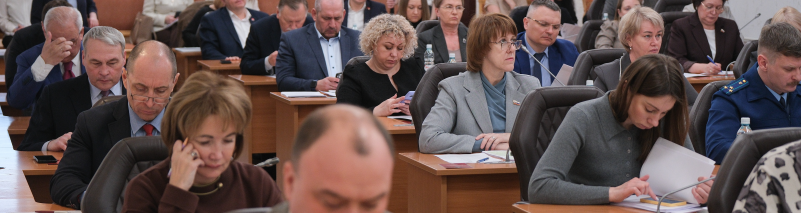 Бюджет, защиту газонов, паводок и нацпроекты обсудили депутаты на  7-м собрании Думы города Томска 