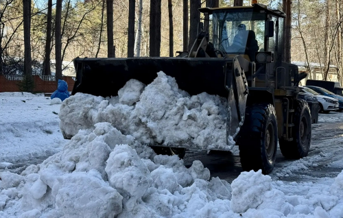 Сергей Сеченов провел субботник по очистке от снега территории Дома ветеранов