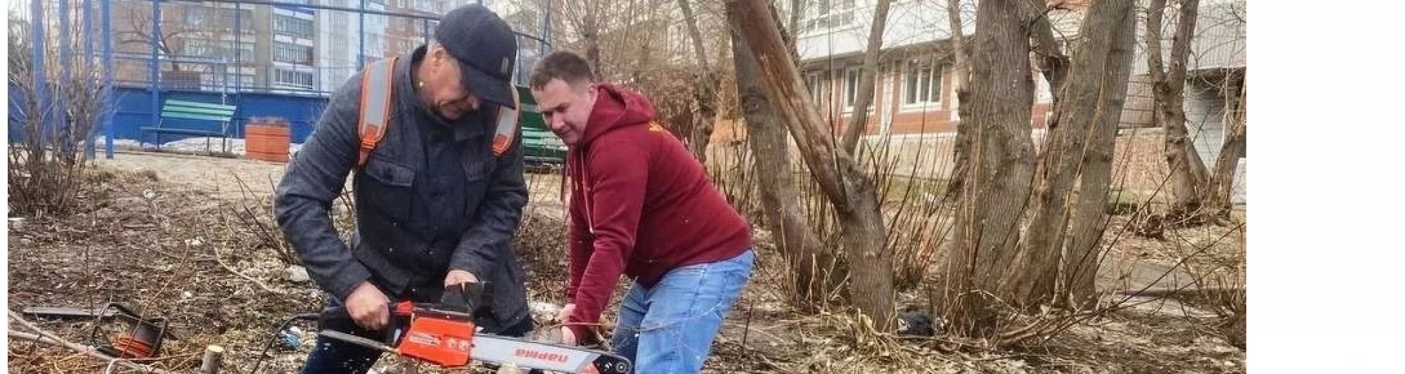 Юрий Полонянкин организовал субботник и решил вопрос с аварийными деревьями