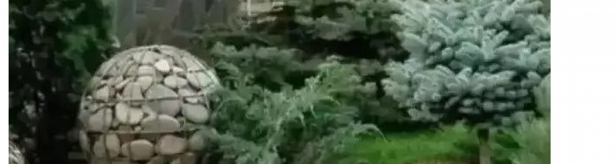 Еще три инициативных проекта получат поддержку