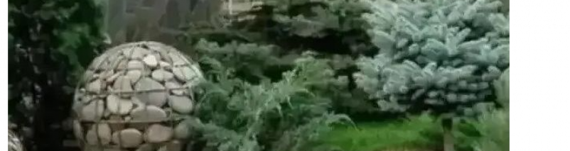 Еще три инициативных проекта получат поддержку